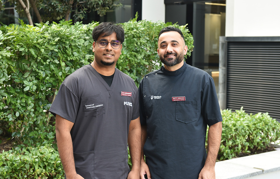 DPIRD Vet interns 2025