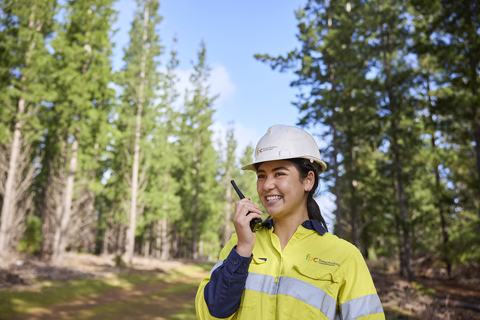 Annual Report 2024-2025