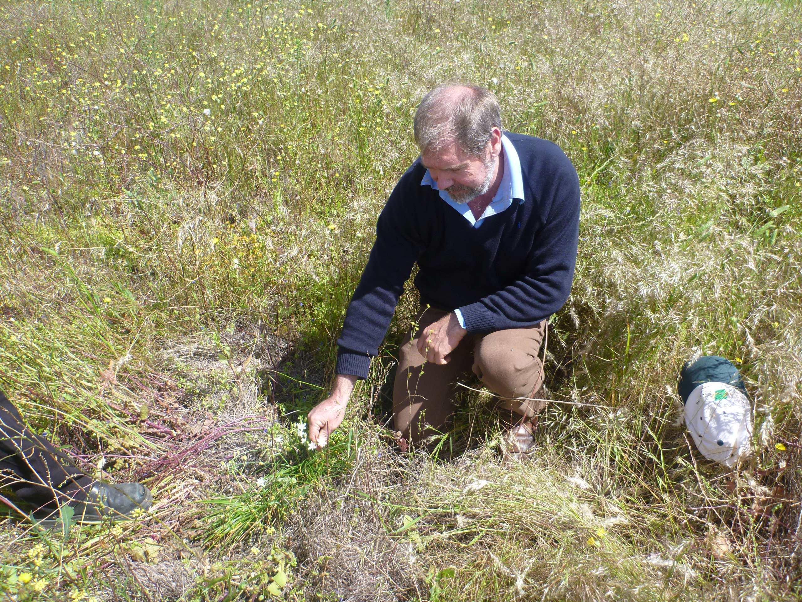 A man crouching in weeds.