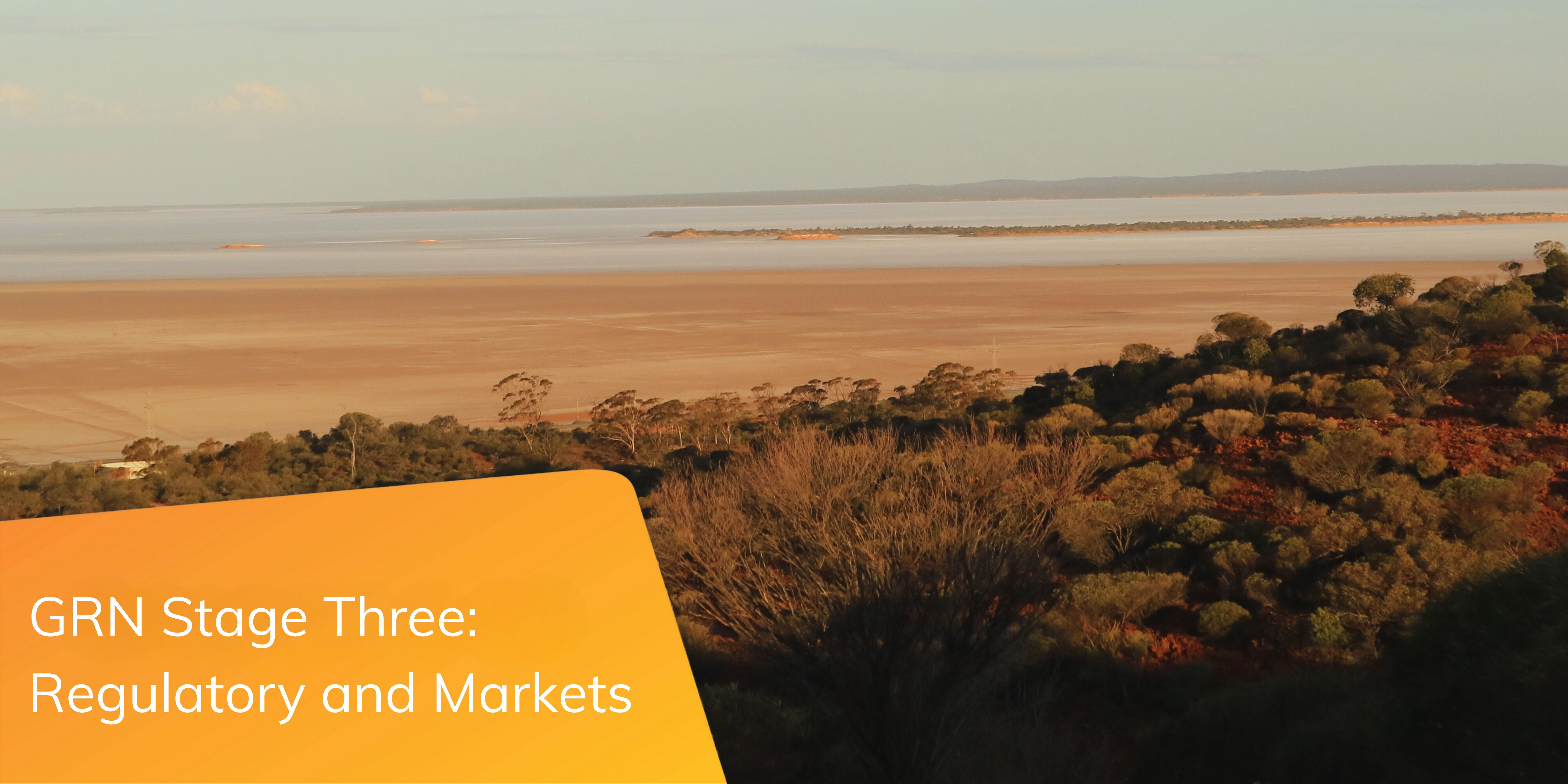 GRN Stage Three: Regulatory and Markets