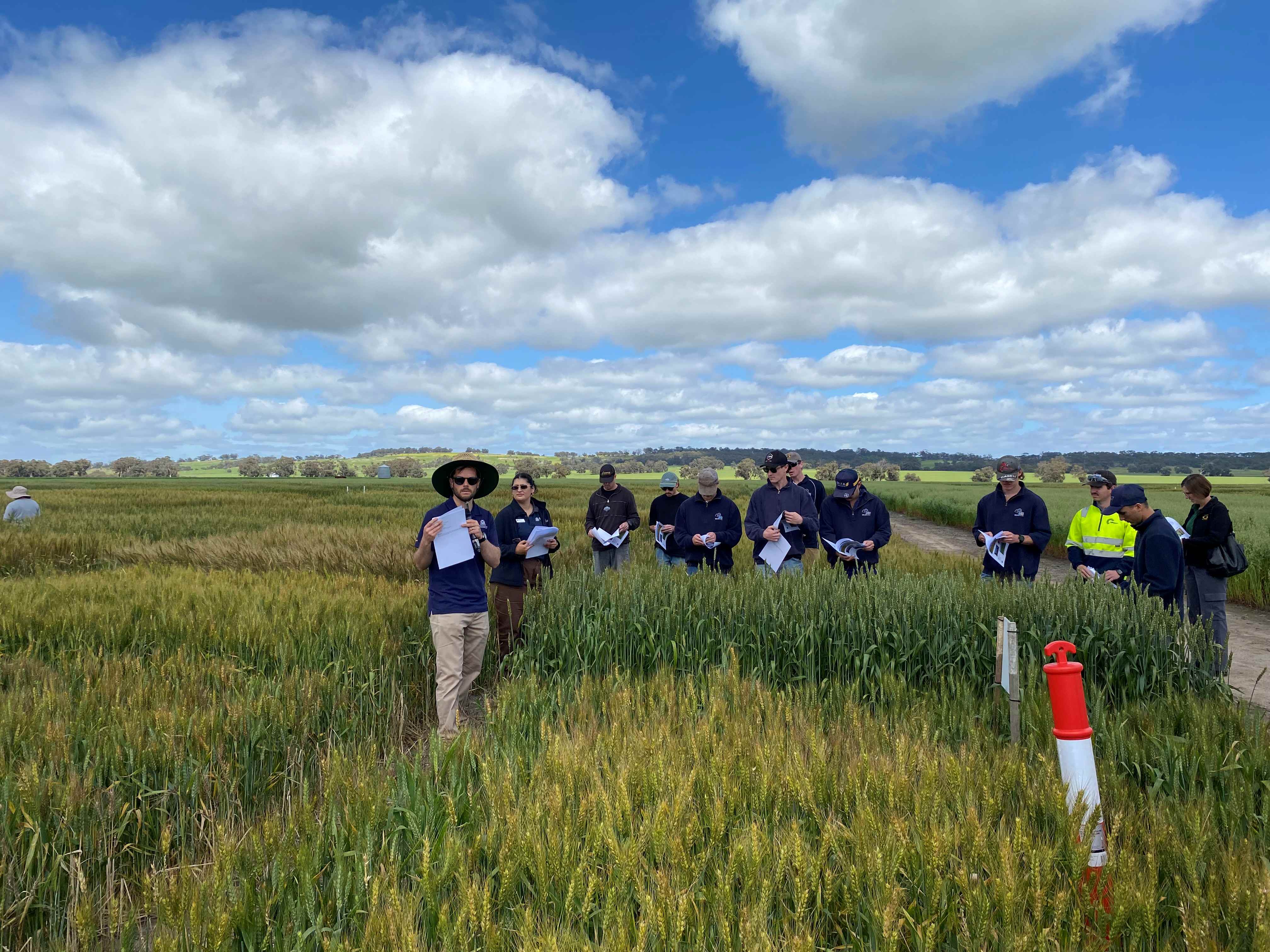 A man with a clipboard facing a crowd of people in a paddock with white clouds overhead.