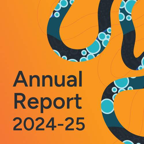 DTWD Annual Report 2024-25 graphic