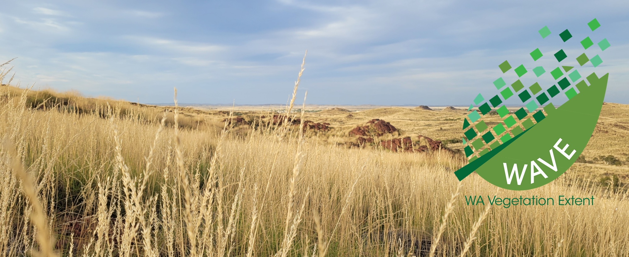 dwer_wave_project_header_image_2025