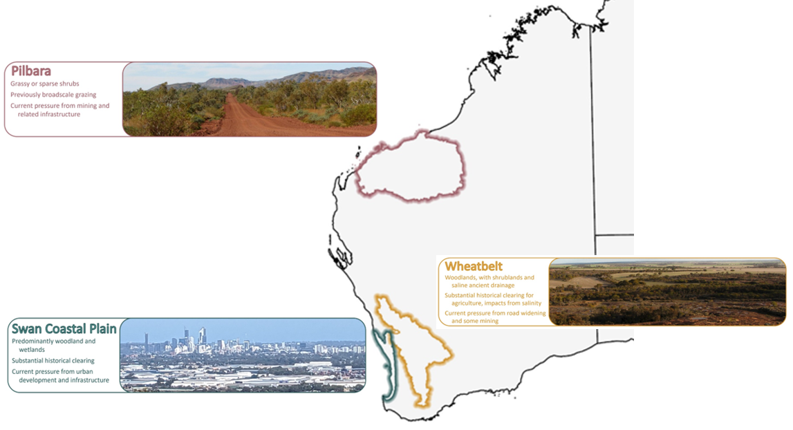 wave_pilot_map_image_dwer_2025