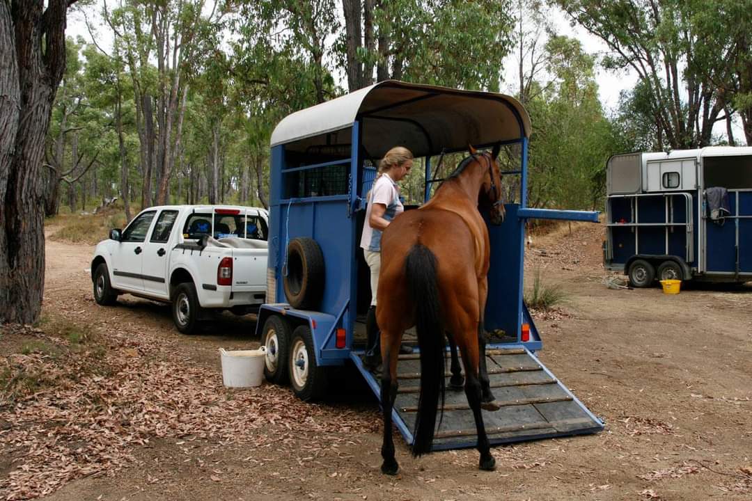 A woman loading a horse onto a horse trailer.
