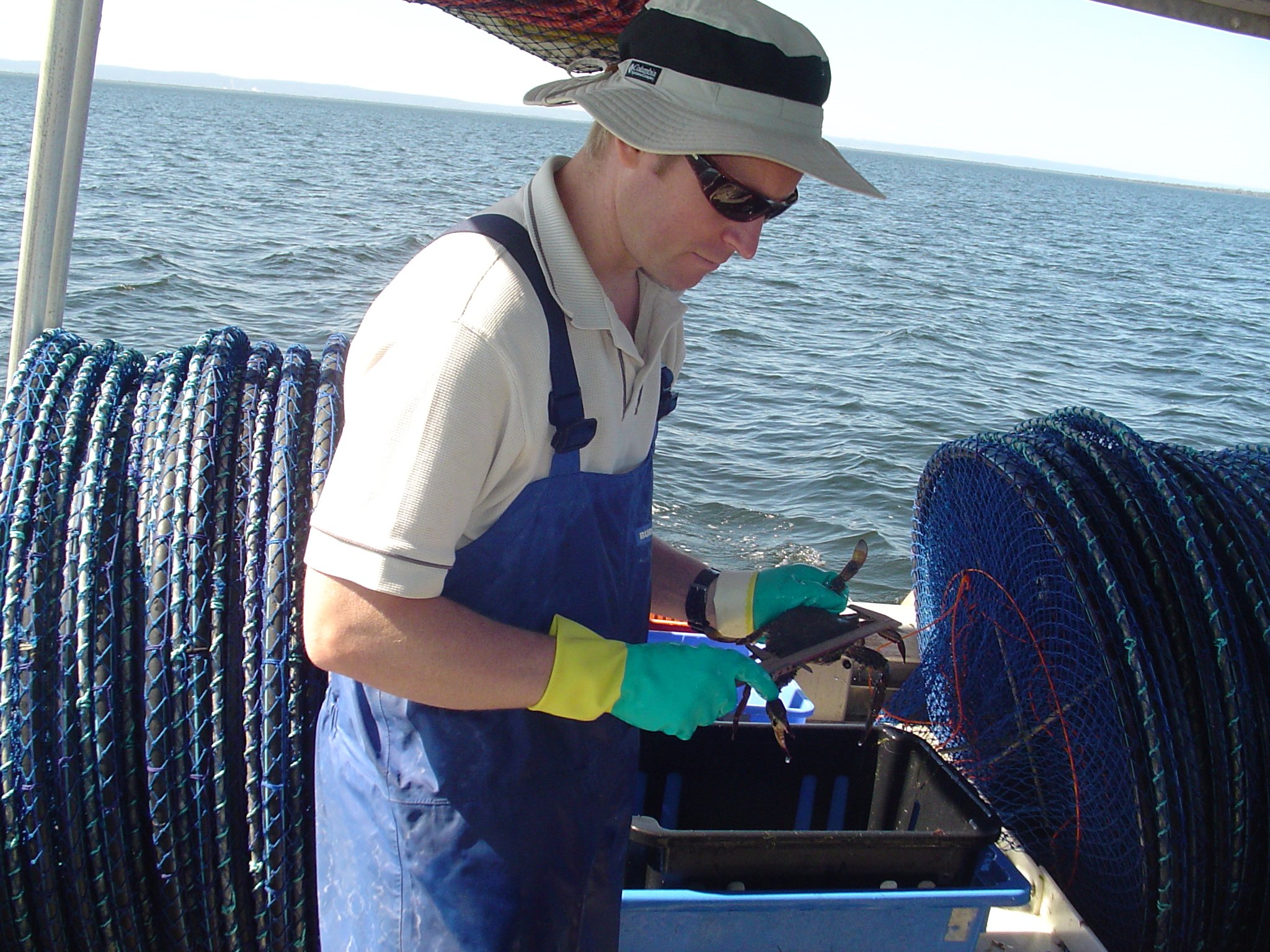 Researchers do sampling in Perth and South West crab fisheries