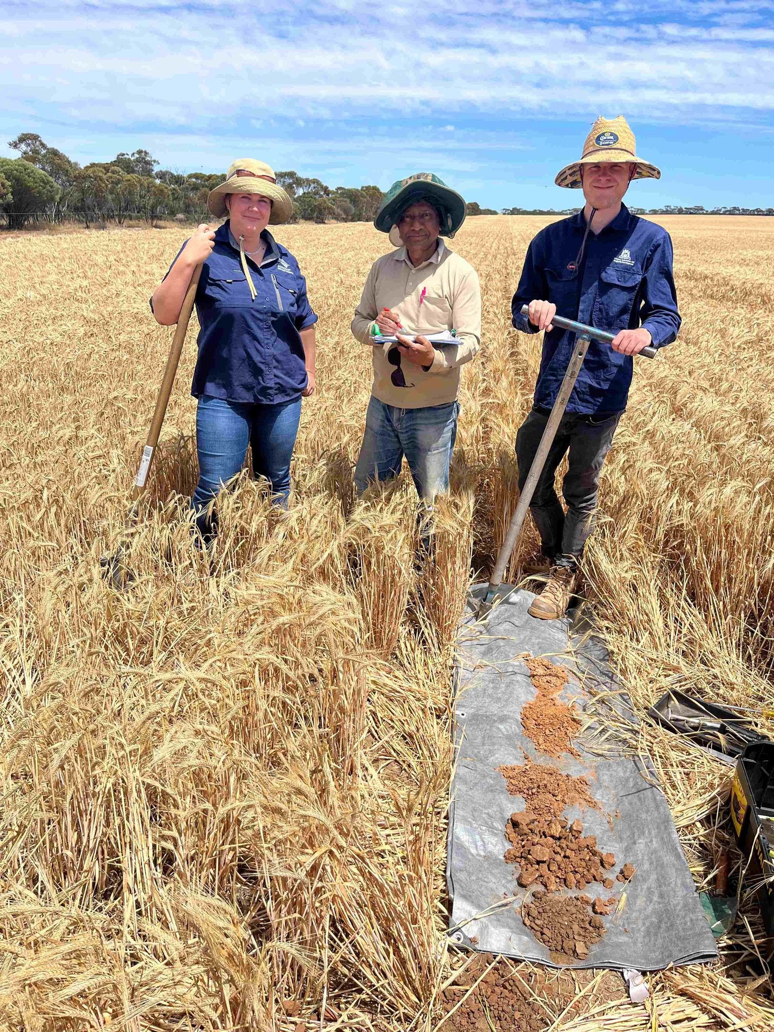 Three people holding soil tools in a dry paddock in front of plastic covered in soil.  