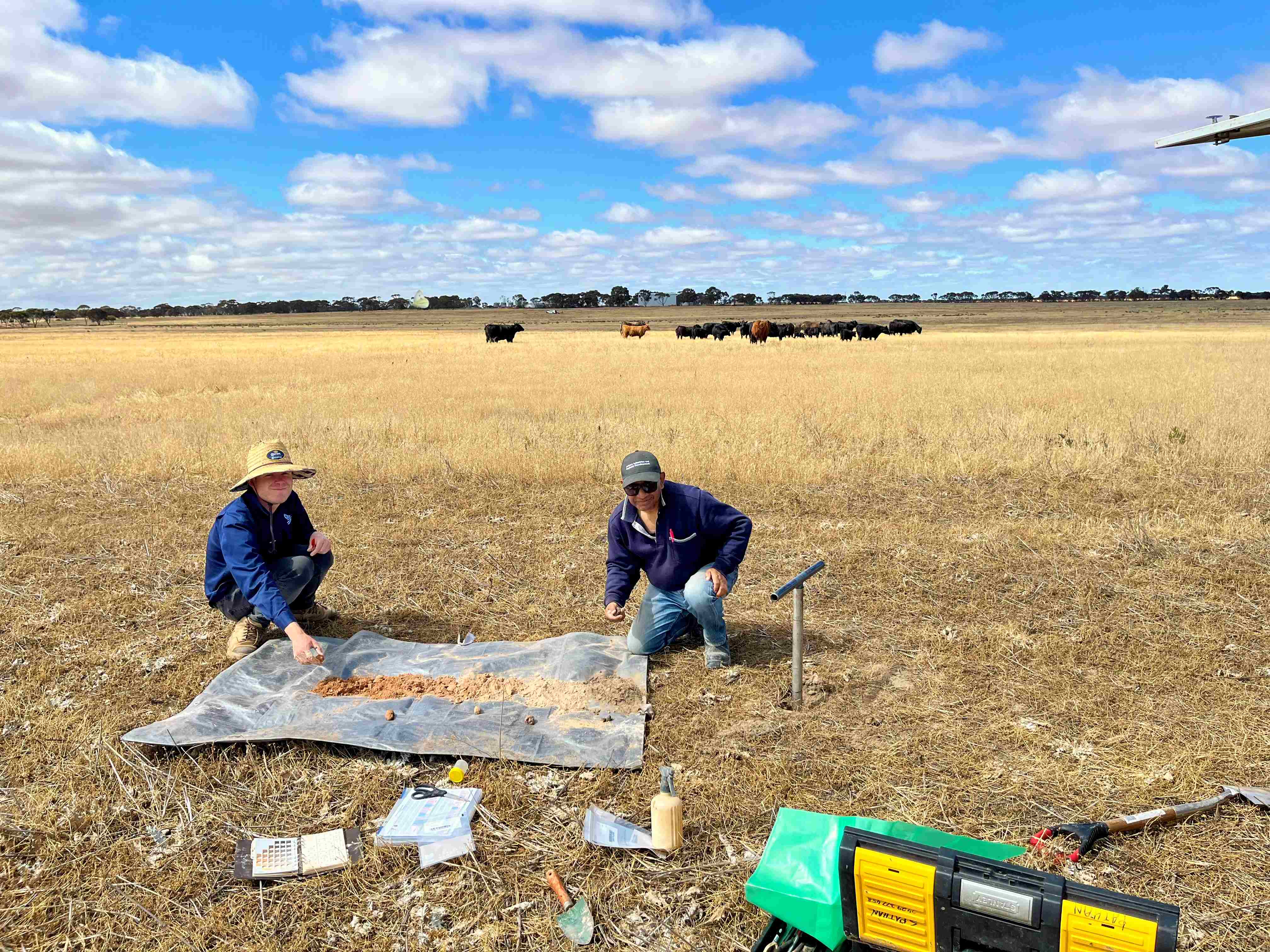 Two men crouching near a piece of plastic with soil on it in a paddock.