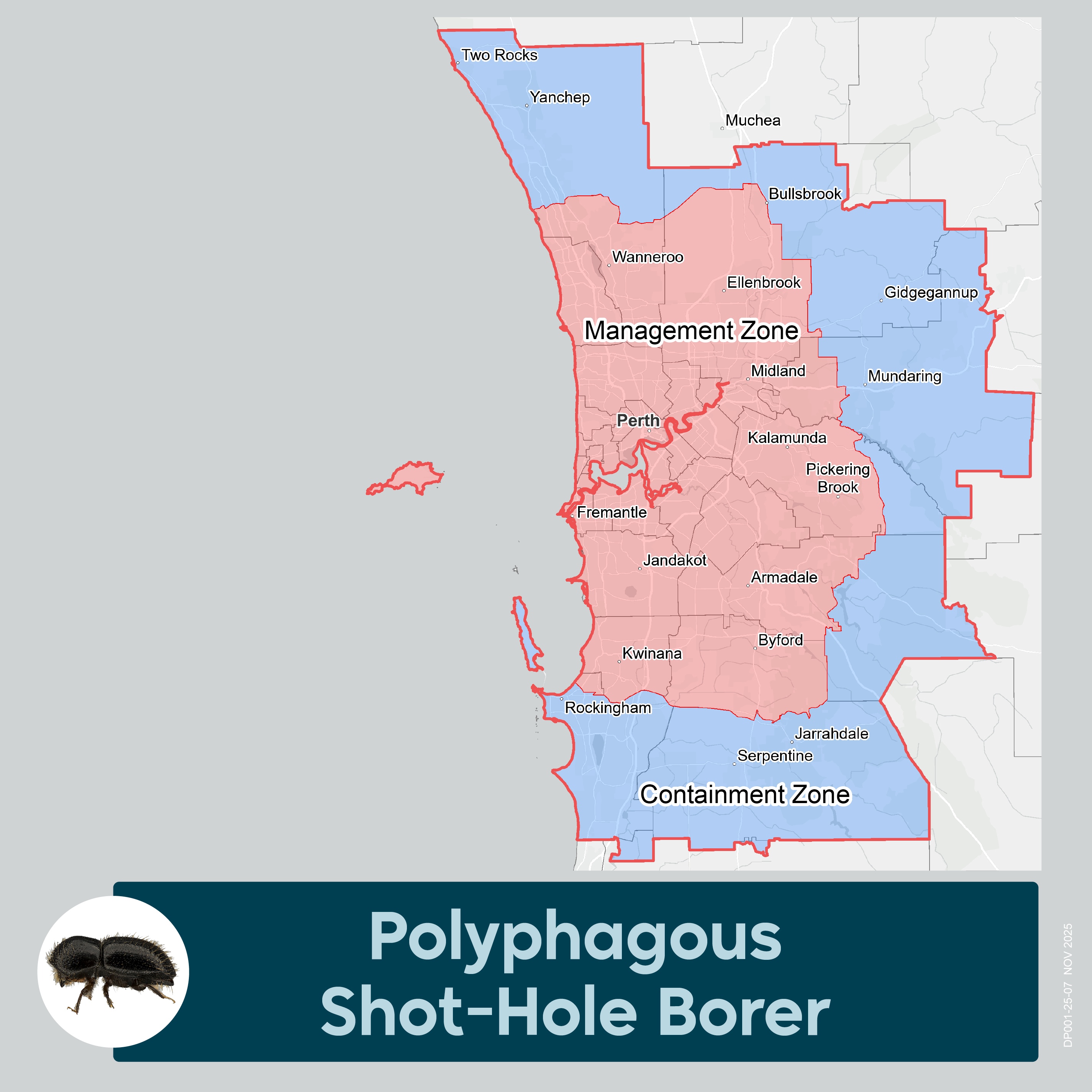 A map of shot-hole borer containment and management zones.