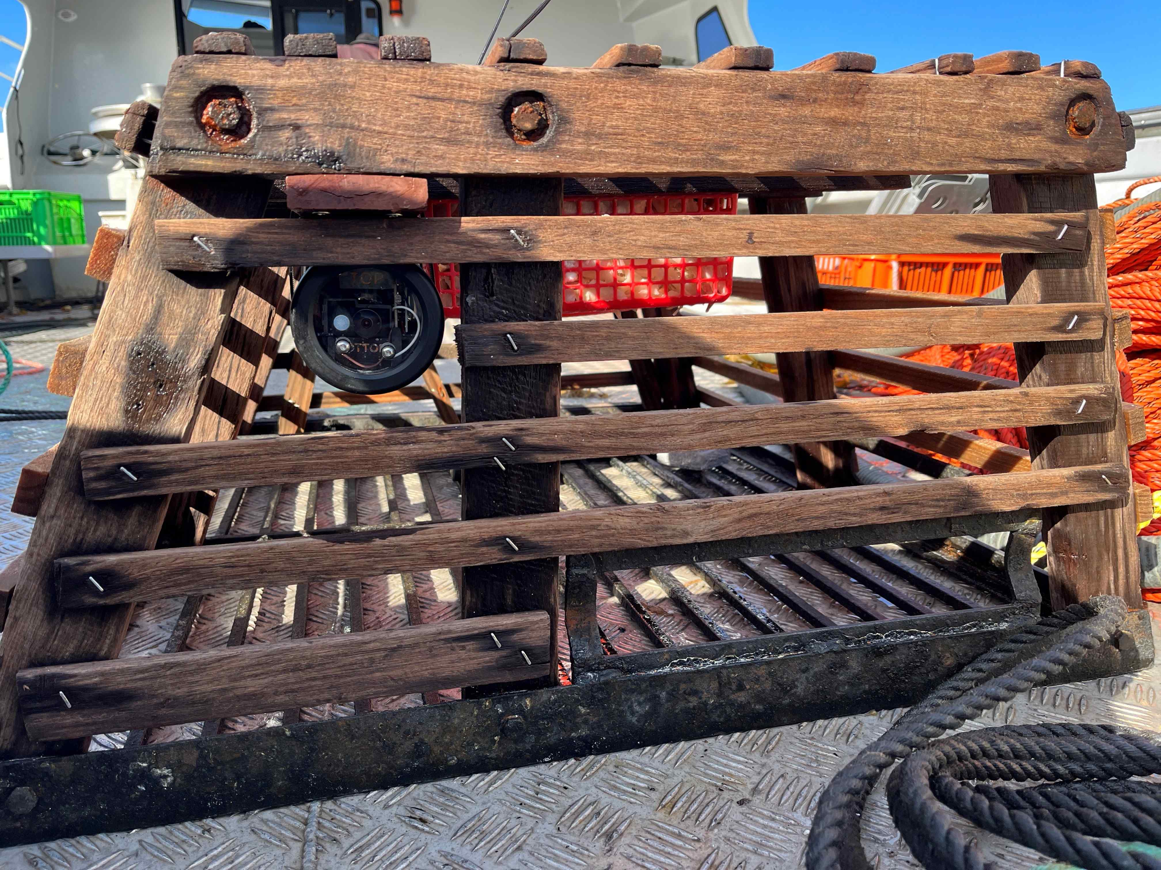 The X-Cray vision project is being expanded to Esperance