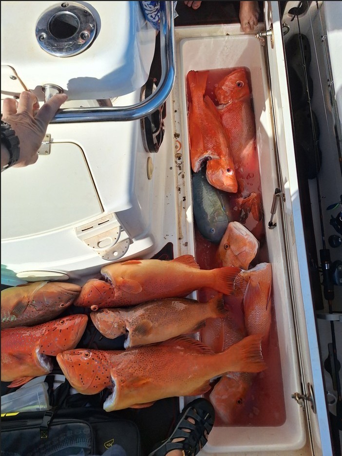 There were four licensed fishers on the vessel