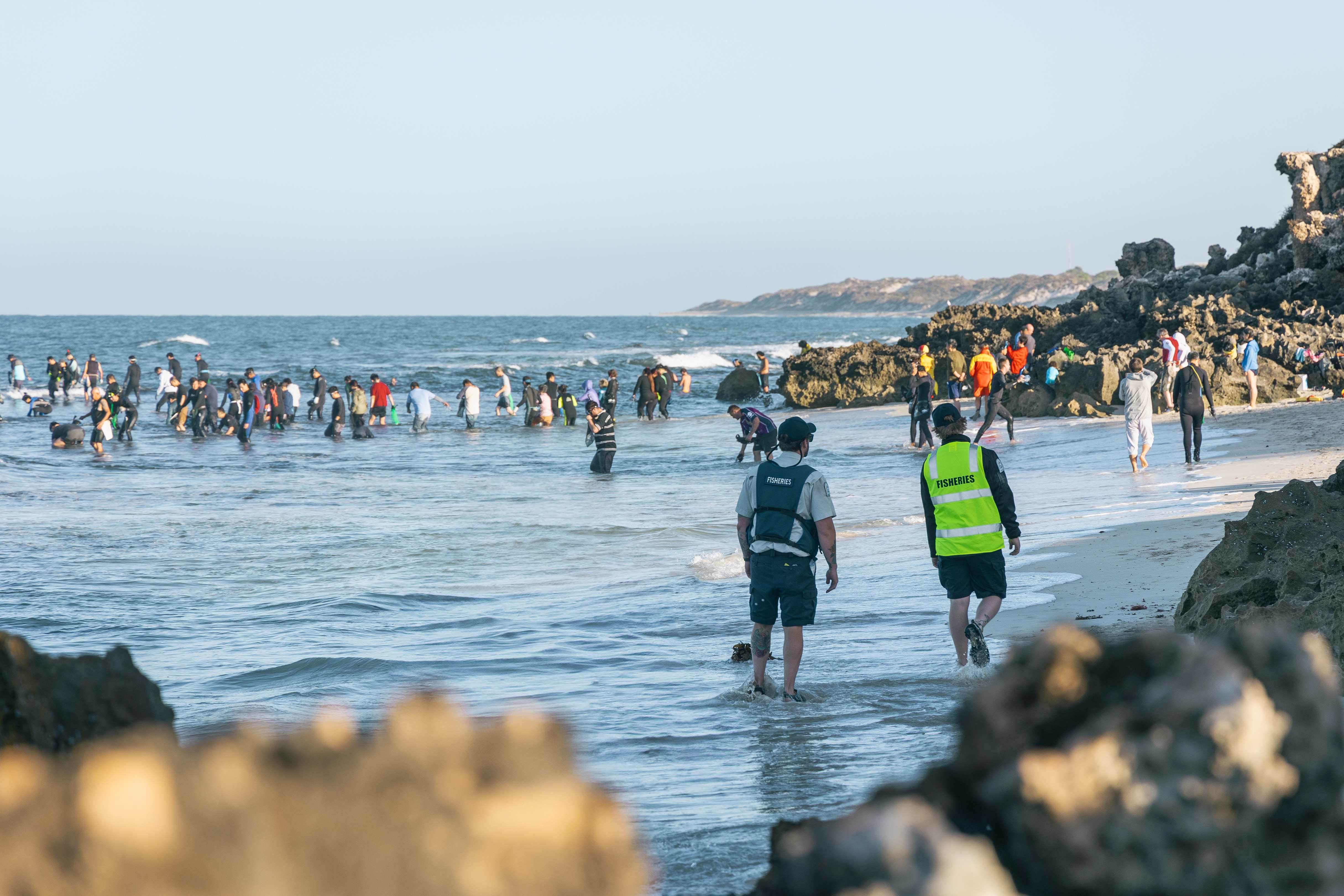 Abalone fishing sessions are patrolled by FMOs