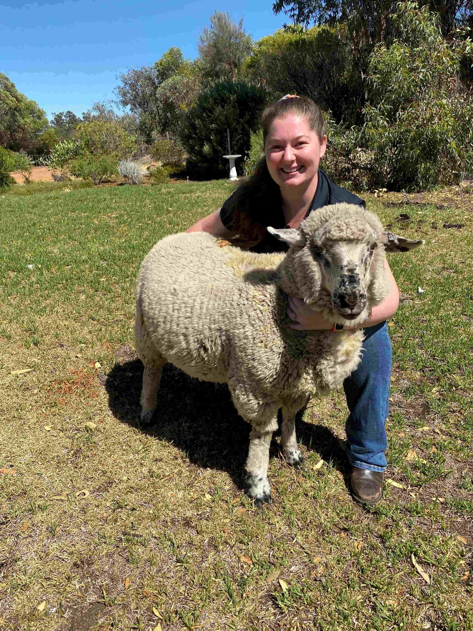 A woman crouching next to a sheep.