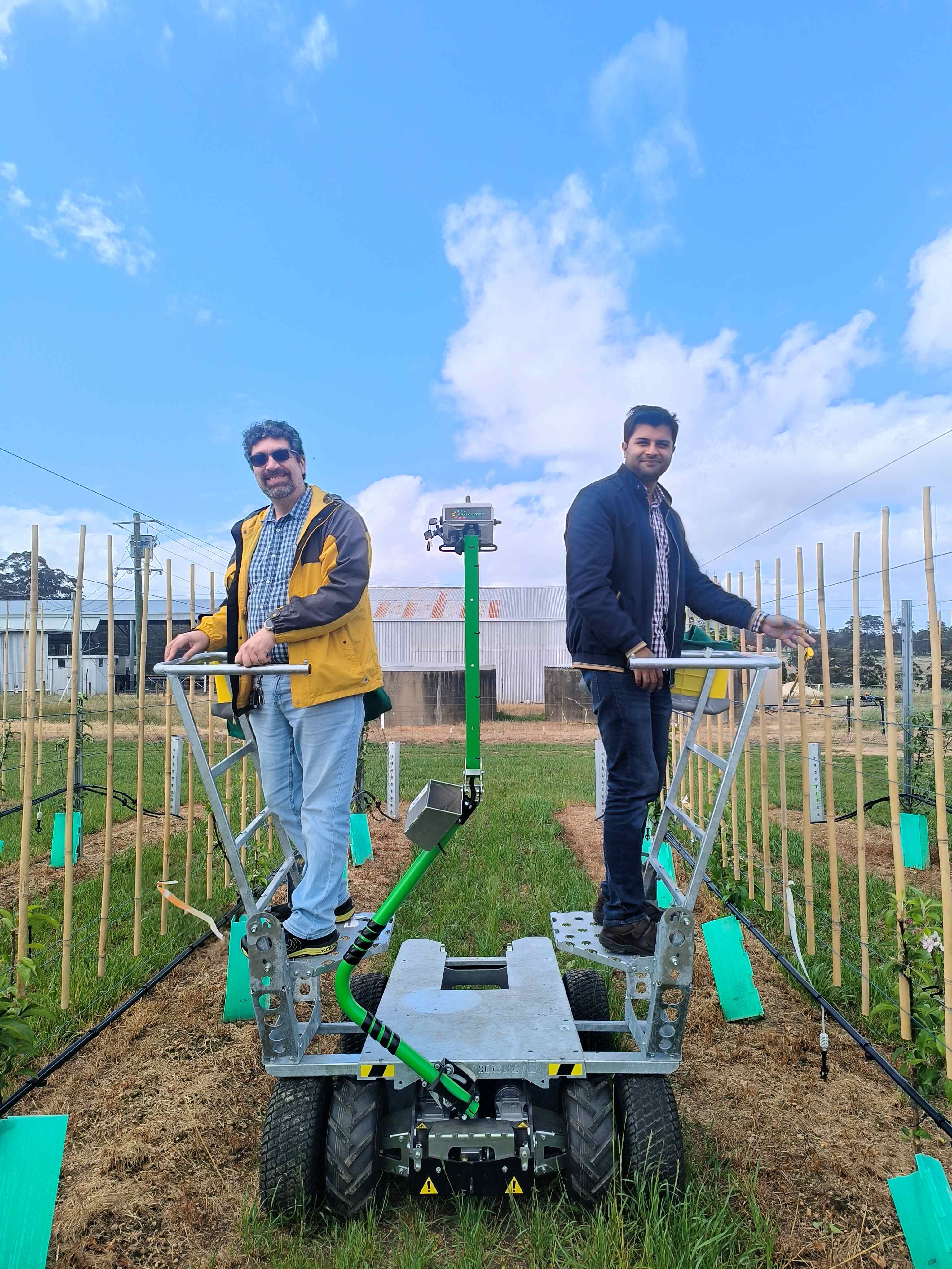 Two men standing on a platform between rows of young tree plantings.