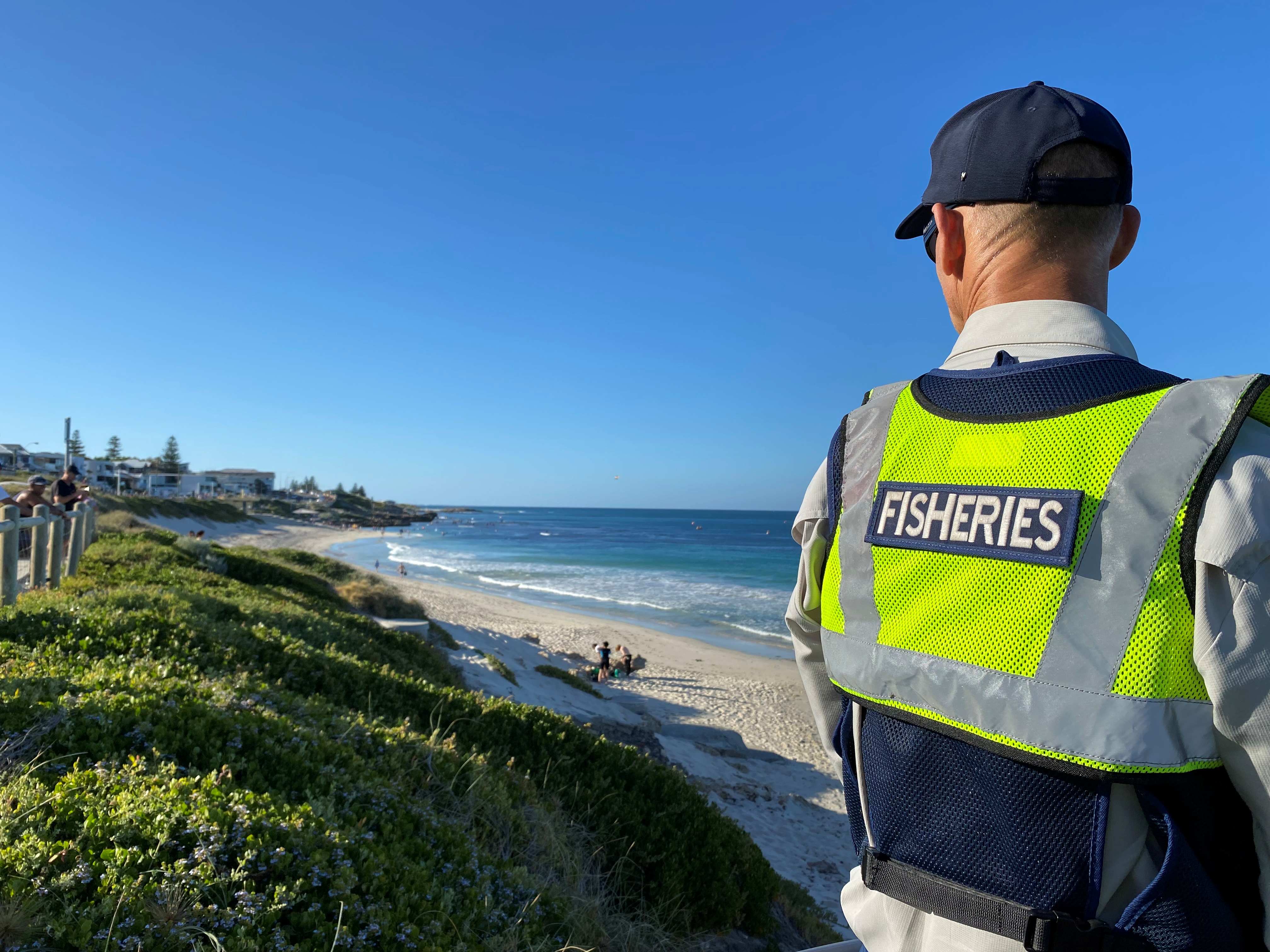 Fisheries officers check abalone fishing locations regularly