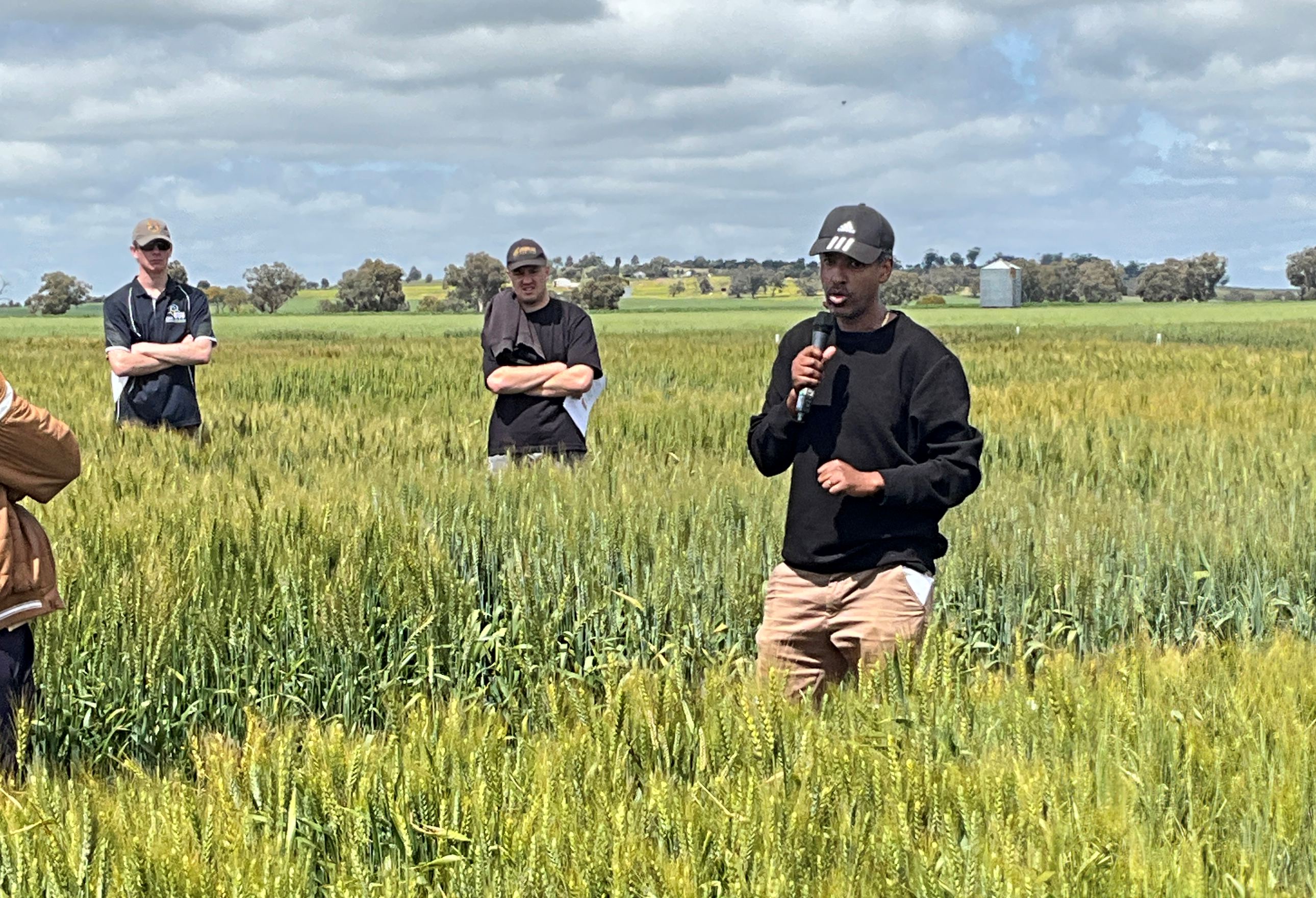 A man standing in a paddock with a green crop with people behind.