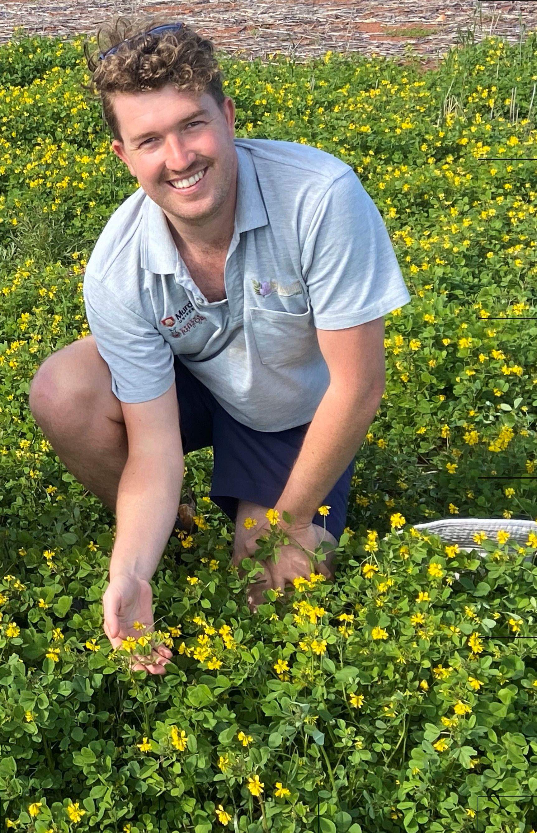 A man crouching in a paddock of green pasture with yellow flowers.