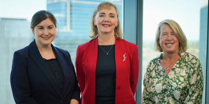 Law Reform Commission Members