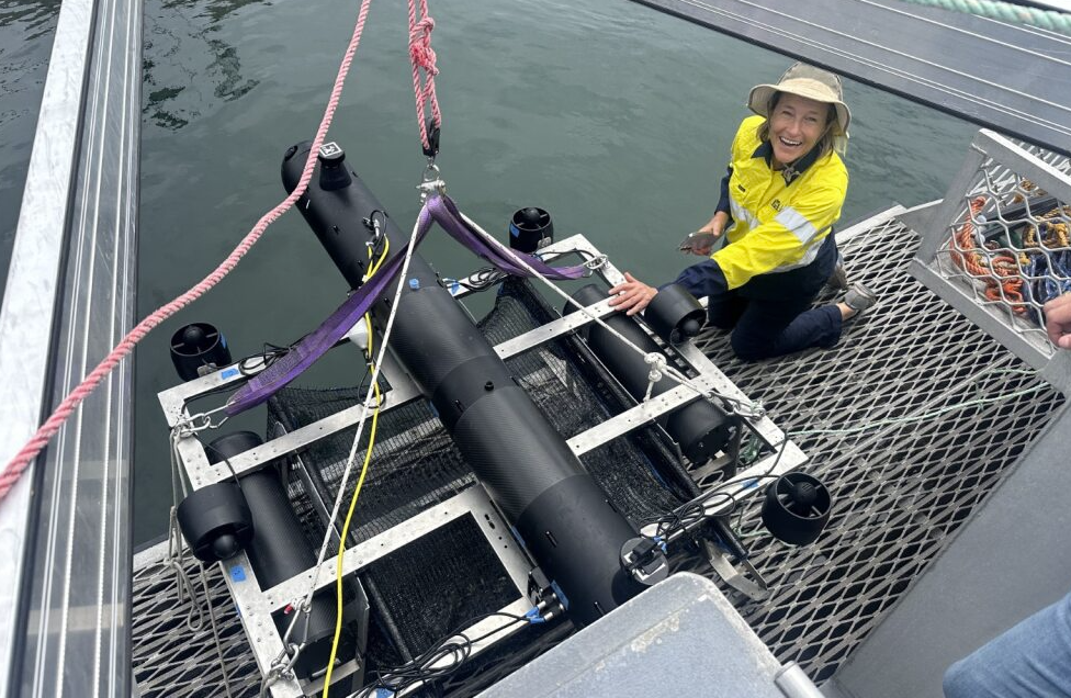Person holding a fish