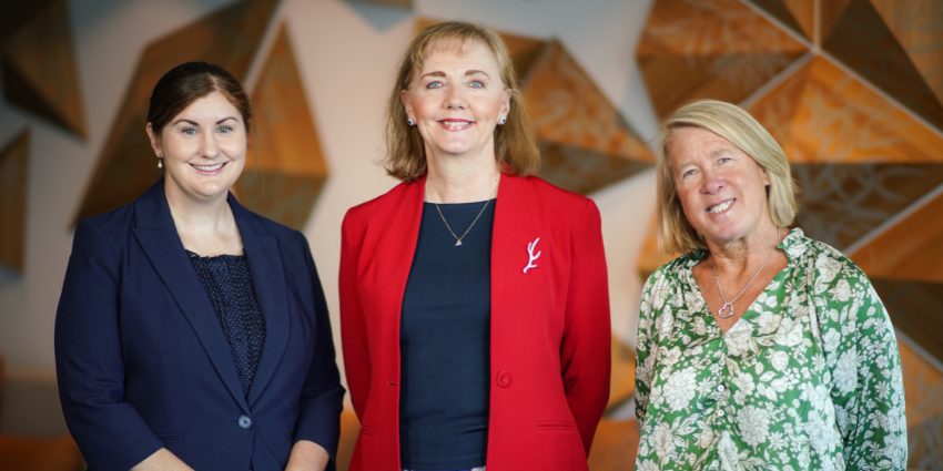 Law Reform Commission Members