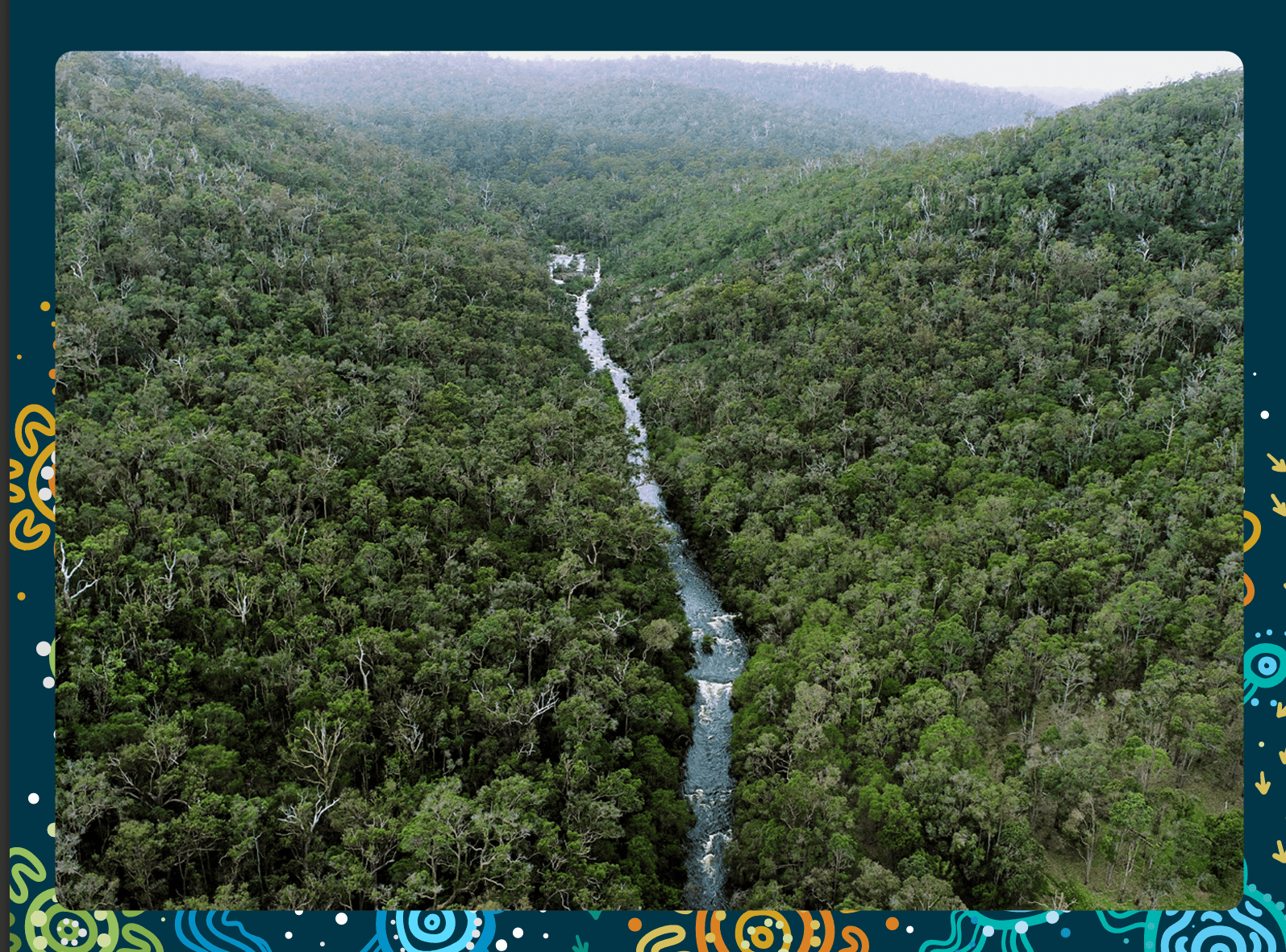 Aerial view of a winding river flowing through dense green forest.