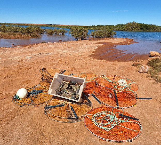 The use of fish traps in all waters of any estuary, inlet, river, brook or stream is prohibited.