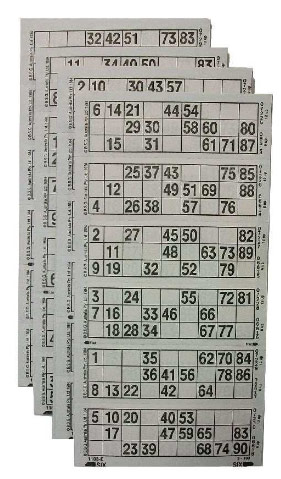 Bingo Permit example