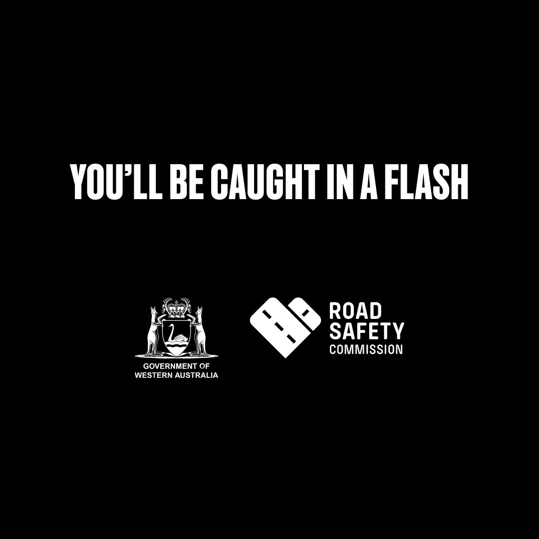 Seatbelt carousel companion image