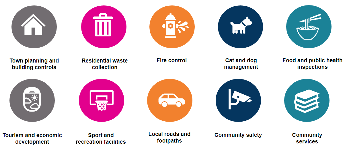 Local government services