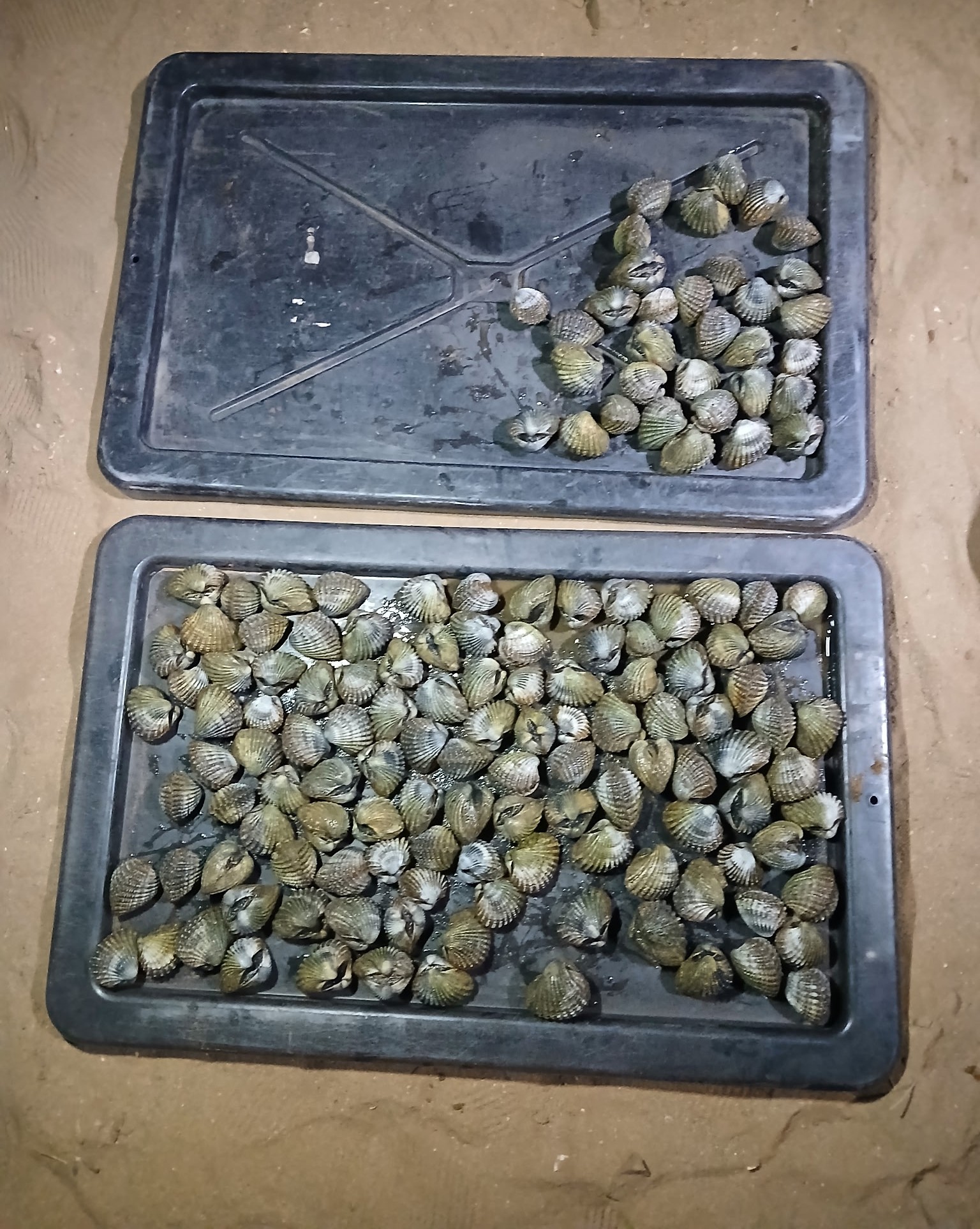 Fisheries officers intercepted two men on 24 January 2026