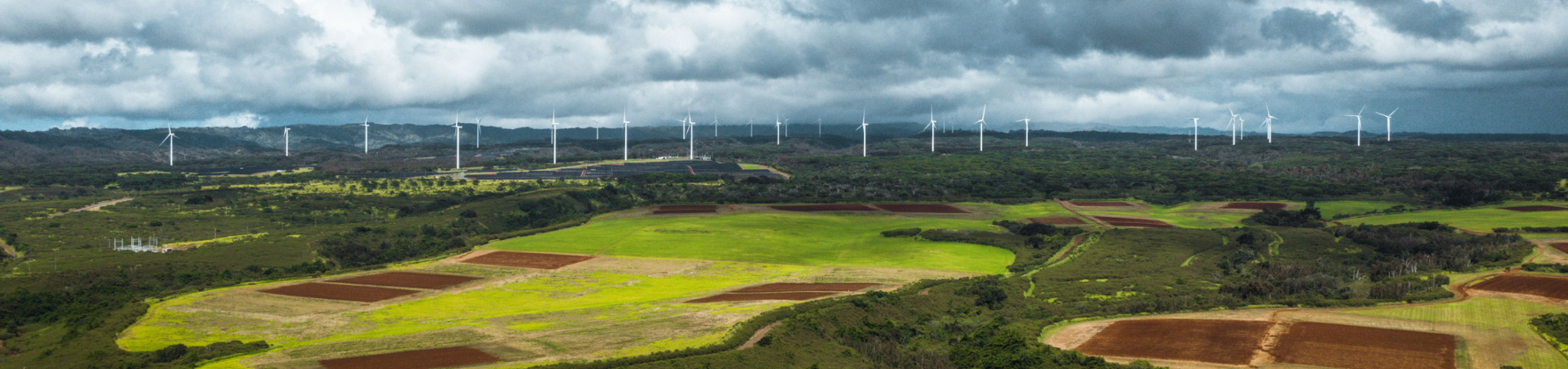 Wind turbines in the background of open green fields