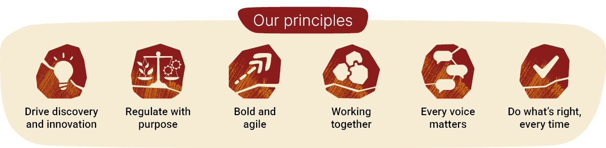List of DMPE principles