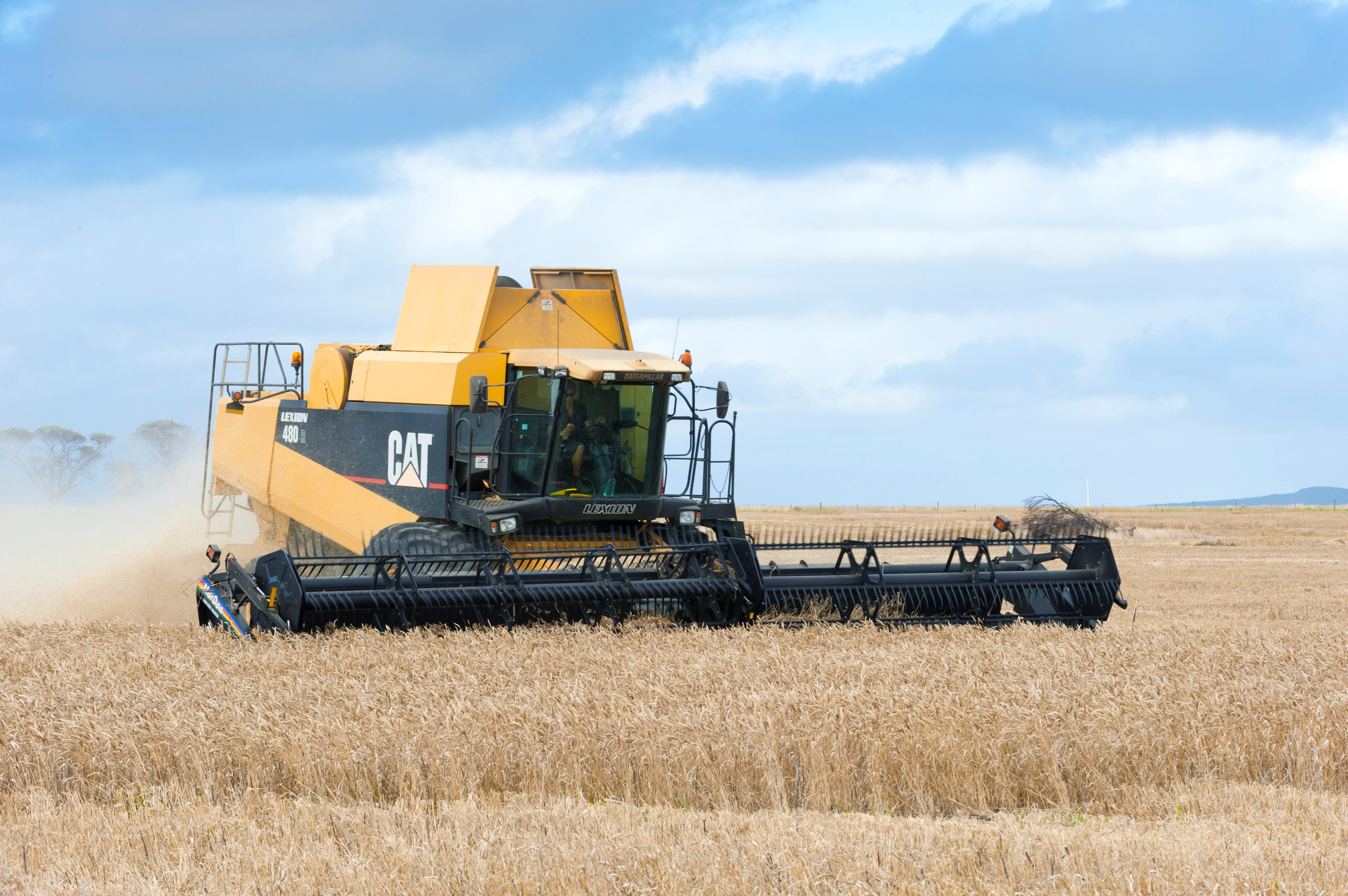 A header harvesting a yellow crop.