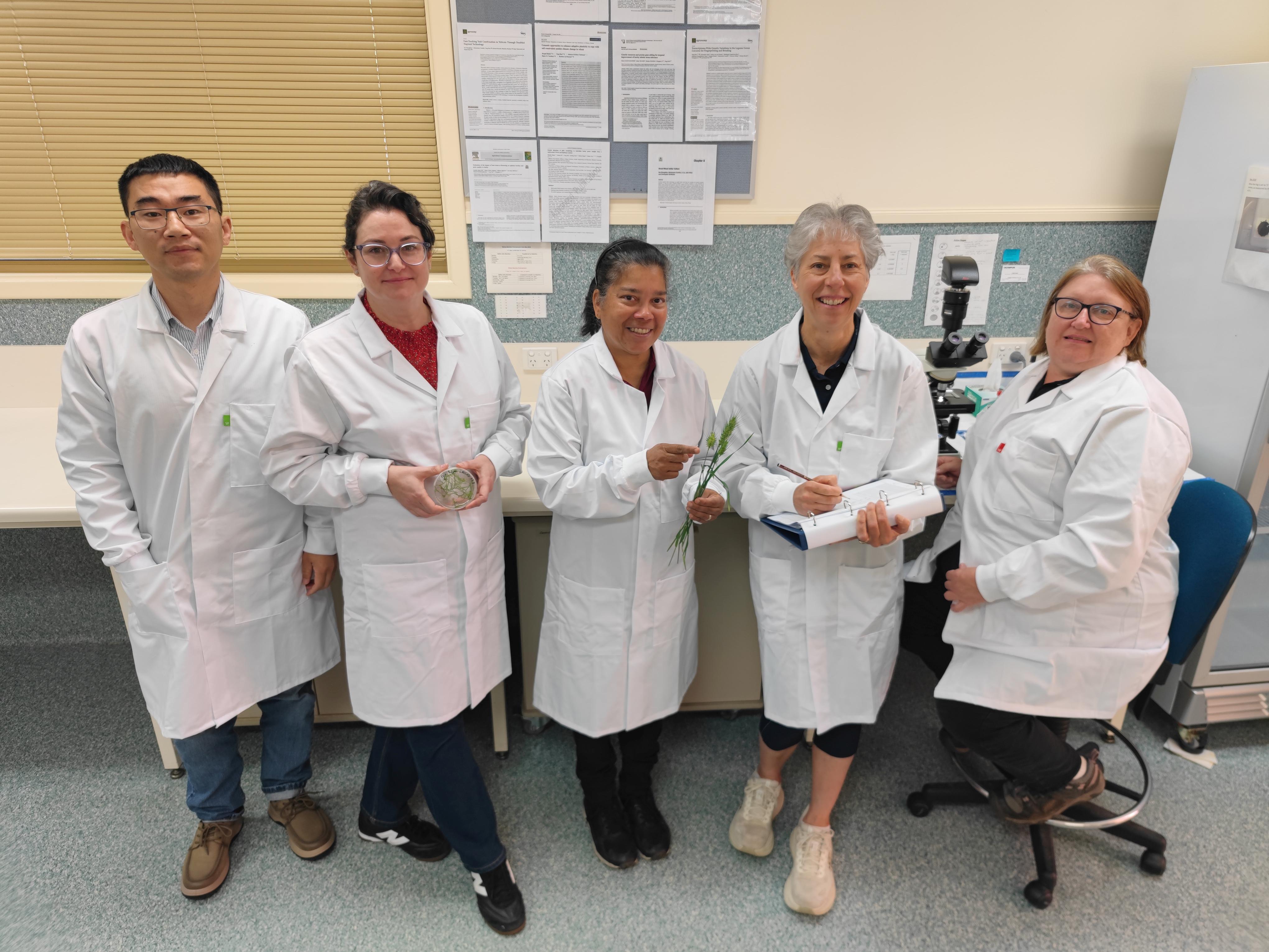 A group of five people in laboratory coats.