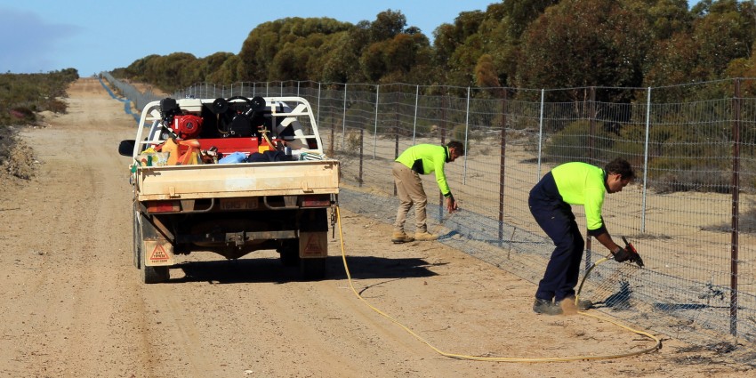 Indigenous contractors working on remote fencing