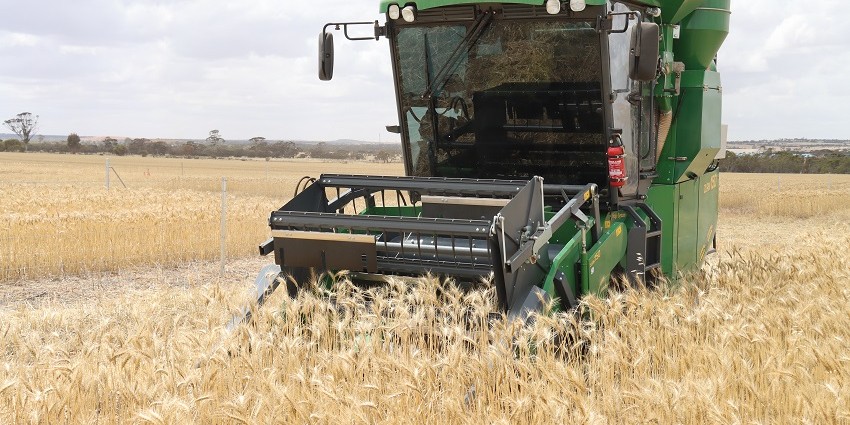 A small header in a crop at Merredin as part of the trial