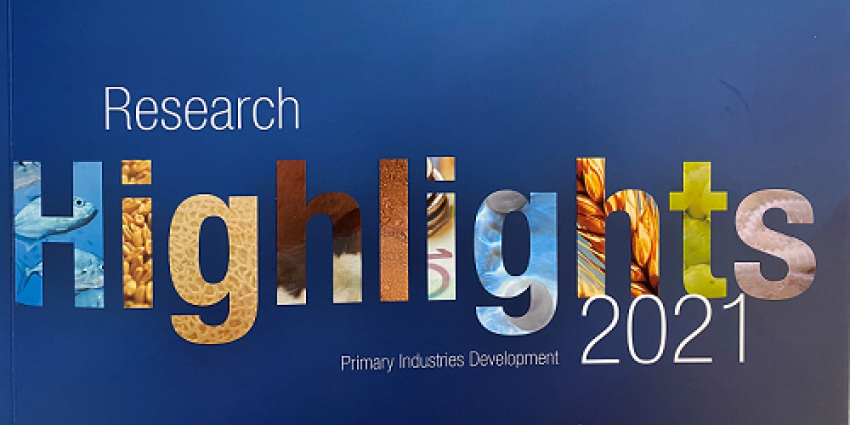 Image of front cover of Research Highlights 2021