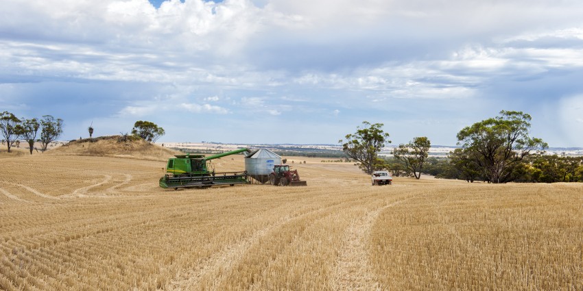 An image of a grain field being harvested