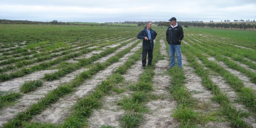 DPIRD research scientist Geoff Moore talking to agronomist Owen Mann