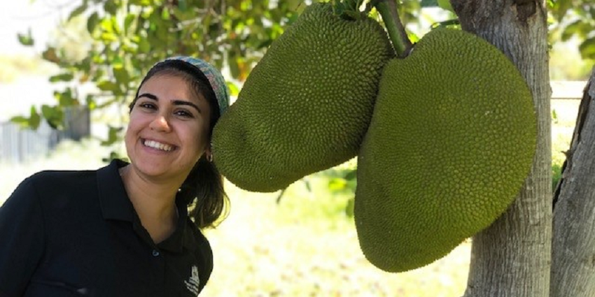 Valeria Almeida Lima standing next to jackfruit hanging from the tree