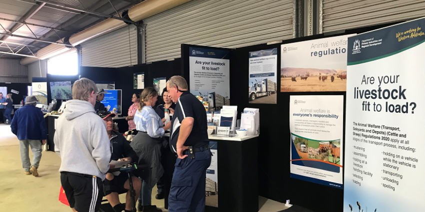 Visitors to DPIRD Newdegate Field Days display