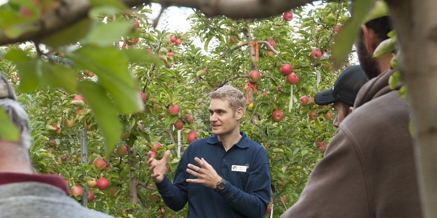 Rohan Prince standing in apple orchard