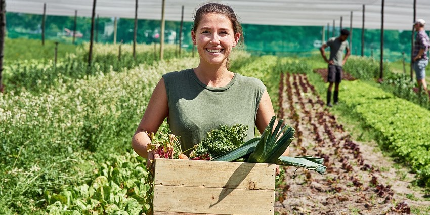 attractive young woman standing amongst horticulture crops holding a box of produce
