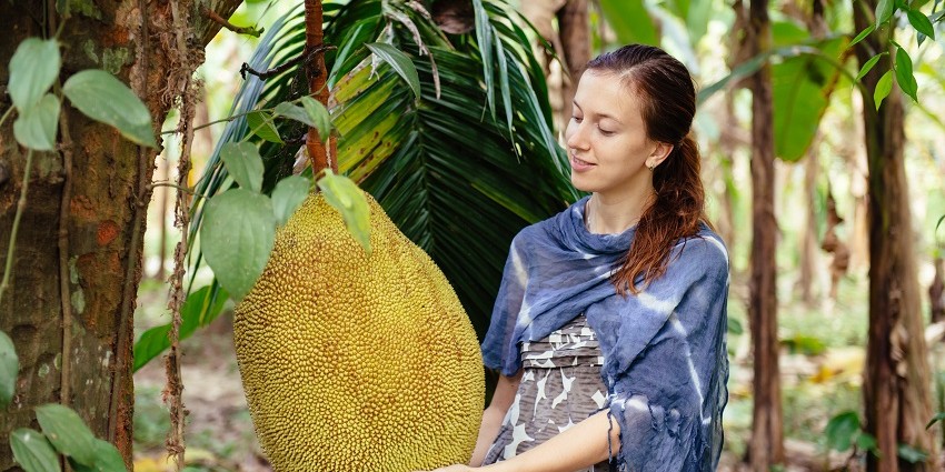 young woman holding and gazing an enormous jackfruit