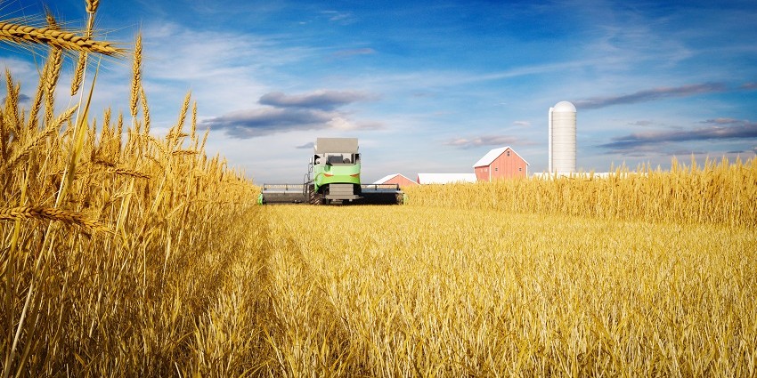 landscape image of wheat and grain harvester with silo in the background