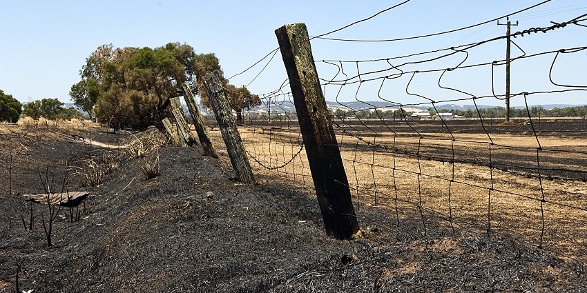 Burnt fence