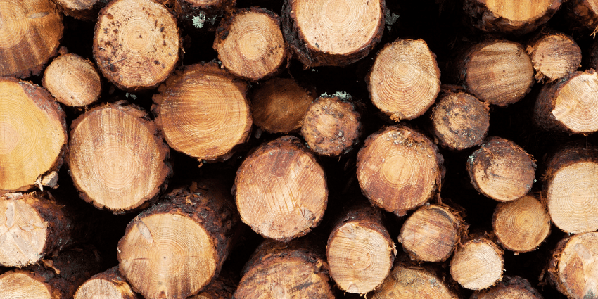 image of wood logs stacked on top of each other in a pile