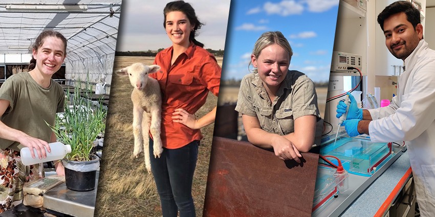 Young professionals in Ag