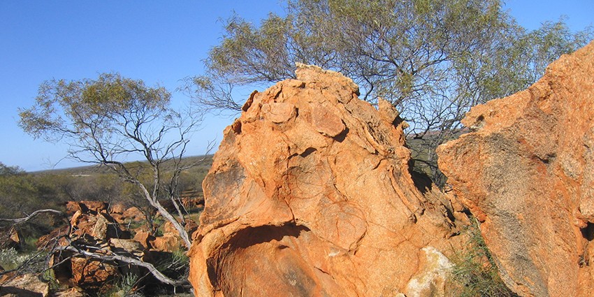 Image of large red granite with the Australian bush in the background