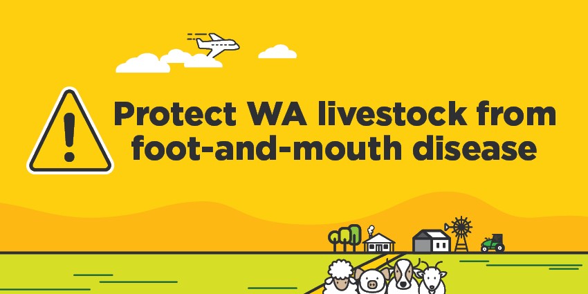 Protect WA livestock from foot-and-mouth disease